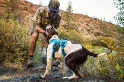 Arnés Para Perros Ruffwear "Web Master" -Mascotas Productos Tienda 4 2 3