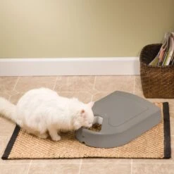 Comedero Automático Para 5 Comidas -Mascotas Productos Tienda 5 meal 4