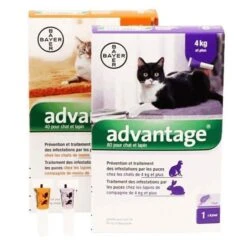 Advantage Pipeta Antipulgas Para Gatos