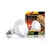 Bombilla Solar Glo Exo Terra 125 W -Mascotas Productos Tienda ampolleta solar