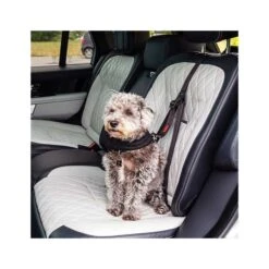 Anclaje De Seguridad Para Auto Kong Travel -Mascotas Productos Tienda anclaje seguridad kong 4