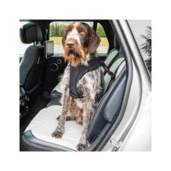 Anclaje De Seguridad Para Auto Kong Travel -Mascotas Productos Tienda anclaje seguridad kong 5