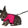 Arnés Y Correa Trixie Para Pequeños Animales -Mascotas Productos Tienda arne s conejo 1