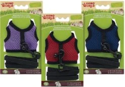 Arnés Y Correa Living World