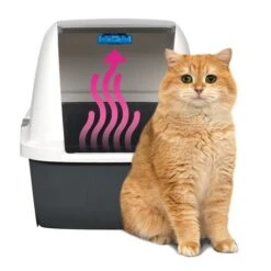 Baño Magic Blue Jumbo -Mascotas Productos Tienda ba o cerrado 2