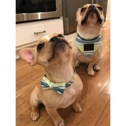 Bandana Para Perros Reversible -Mascotas Productos Tienda bandana reversible 3