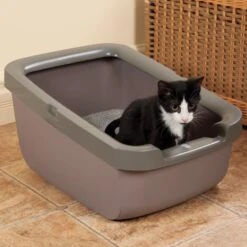 Bandeja Sanitaria Alta Con Borde Grueso Para Gatos -Mascotas Productos Tienda bandeja alta 1