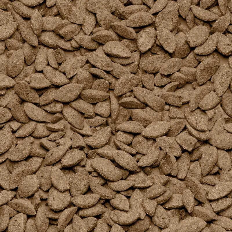 Beaphar Care+ Alimento Chinchillas 1,5 Kg 4 Beaphar Care+ Alimento Chinchillas 1,5 Kg - Imagen 2