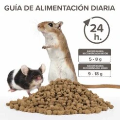 Beaphar Care+ Alimento Jerbos Y Ratones 700 Gr -Mascotas Productos Tienda beaphar care rata jerbo 4