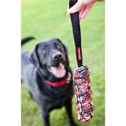 Juguete "Beaver Tail" -Mascotas Productos Tienda beaver tail 2