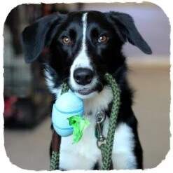 Dispensador "Beco Pocket" De Bamboo -Mascotas Productos Tienda beco pocket celeste 1