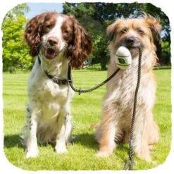 Dispensador "Beco Pocket" De Bamboo -Mascotas Productos Tienda beco pocket natural 1