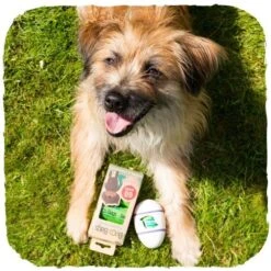 Dispensador "Beco Pocket" De Bamboo -Mascotas Productos Tienda beco pocket natural 3