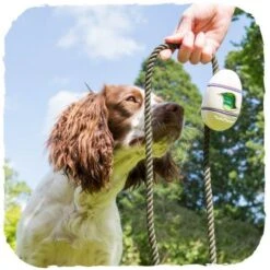 Dispensador "Beco Pocket" De Bamboo -Mascotas Productos Tienda beco pocket verde 1