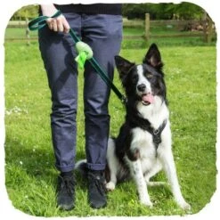 Dispensador "Beco Pocket" De Bamboo -Mascotas Productos Tienda beco pocket verde 2