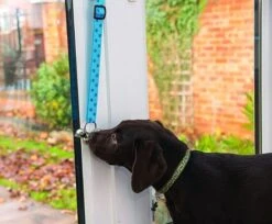 Campanas De Entrenamiento Para Orinar -Mascotas Productos Tienda bells 1