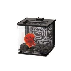 Bettera Marina Betta EZ 2.5 Litros -Mascotas Productos Tienda bettera marina negro 2