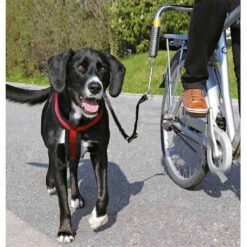 Set De Bicicleta Para Perros