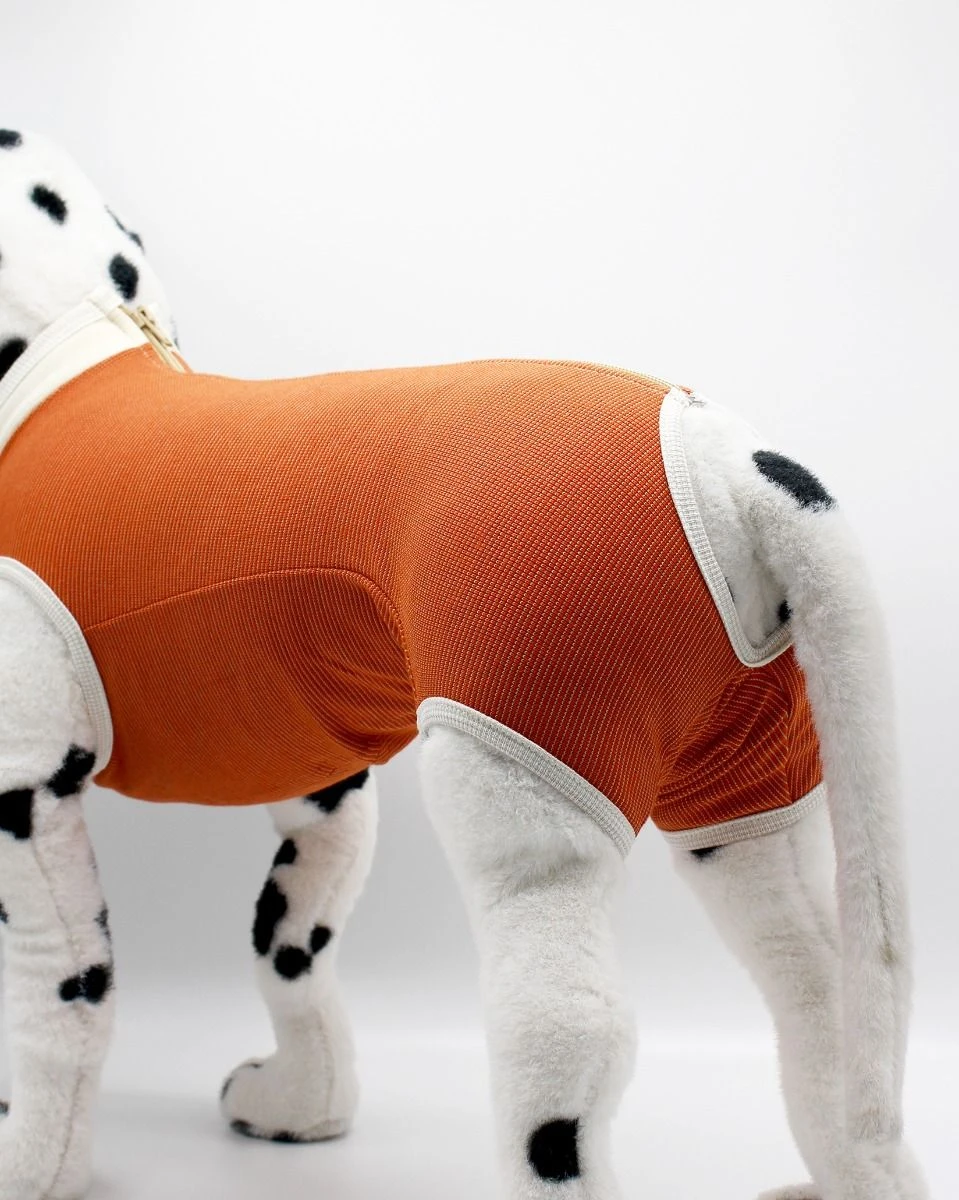 Body De Cobre Castración Perros Machos 4 Body De Cobre Castración Perros Machos - Imagen 2