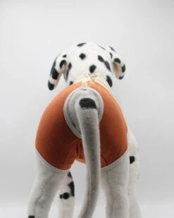 Body De Cobre Castración Perros Machos 7 Body De Cobre Castración Perros Machos -Mascotas Productos Tienda body cobre macho 3