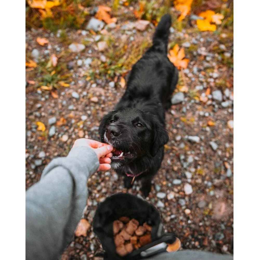 Bolso Para Premios Tall Tails 6 Bolso Para Premios Tall Tails - Imagen 4