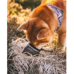 Bolso Para Premios Tall Tails 13 Bolso Para Premios Tall Tails -Mascotas Productos Tienda bolso premios tall tails 05