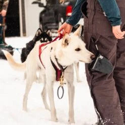 Bolso Para Premios Tall Tails 14 Bolso Para Premios Tall Tails -Mascotas Productos Tienda bolso premios tall tails 06