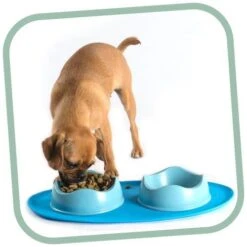 Plato De Bambú Y Arroz Beco Pets -Mascotas Productos Tienda bowl1 1