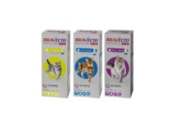 Antiparasitario Pipeta BRAVECTO PLUS Para Gatos