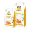 Brit Care Pelaje Haircare Healthy & Shiny Coat Para Gatos -Mascotas Productos Tienda brit haircare 1