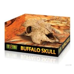Escondite Fósil Buffalo Skull Exo Terra