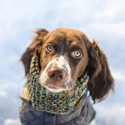 Bufanda Tubo Scout Navy -Mascotas Productos Tienda bufanda 3 4