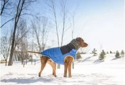 Bufanda Tubo Scout Navy -Mascotas Productos Tienda bufanda 4 2