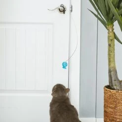 Caña De Pescar Con Juguete "Cuz" Para Puerta -Mascotas Productos Tienda ca a y cuz b