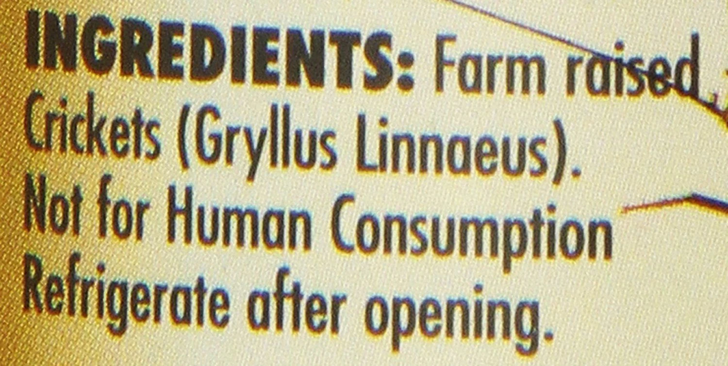 Grillos En Lata "Can O' Crickets" 7 Grillos En Lata "Can O' Crickets" - Imagen 5