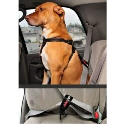 Seguro De Restricción Para Auto EzyDog -Mascotas Productos Tienda car restrain 2