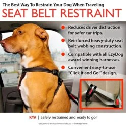 Seguro De Restricción Para Auto EzyDog -Mascotas Productos Tienda car restrain 3