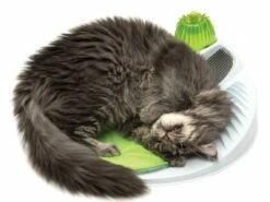 Catit Senses 2.0 Wellness Center -Mascotas Productos Tienda catit2