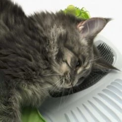 Catit Senses 2.0 Wellness Center -Mascotas Productos Tienda catit3