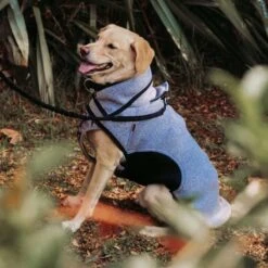 Kimba Chaqueta Onix Gris -Mascotas Productos Tienda chaqueta onix gris 4