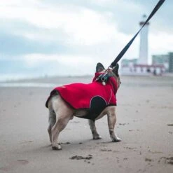Kimba Chaqueta Onix Roja -Mascotas Productos Tienda chaqueta onix rojo 4