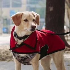 Kimba Chaqueta Onix Roja -Mascotas Productos Tienda chaqueta onix rojo 5