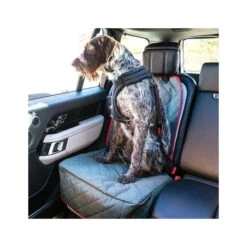 Anclaje Cinturón De Seguridad Giratorio Kong Travel -Mascotas Productos Tienda cinturon anclaje kong 4