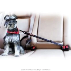 Enganche Para Auto "CLICK" EzyDog -Mascotas Productos Tienda click car restrain 3