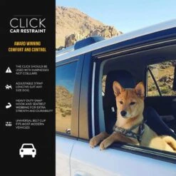 Enganche Para Auto "CLICK" EzyDog -Mascotas Productos Tienda click car restrain 4