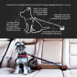 Enganche Para Auto "CLICK" EzyDog -Mascotas Productos Tienda click car restrain 5