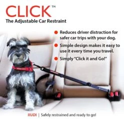 Enganche Para Auto "CLICK" EzyDog -Mascotas Productos Tienda click car restrain 6