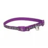 Coastal Lazer Brite Collar Para Gatos
