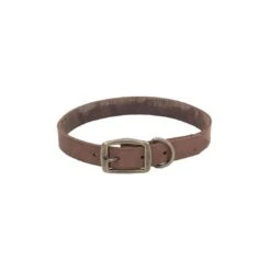 Collar De Cuero Chocolate Circle-T