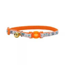 Coastal Glow In The Dark Collar Para Gatos -Mascotas Productos Tienda coastal glow orange cat